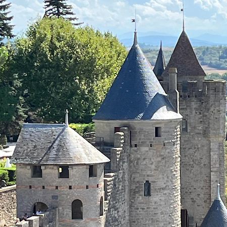 Appartement Tres Calme, Rdc, 800 M De La Cite Medievale Classee Au Patrimoine De L'Unesco Carcassonne Zewnętrze zdjęcie