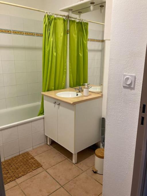 Appartement Tres Calme, Rdc, 800 M De La Cite Medievale Classee Au Patrimoine De L'Unesco Carcassonne Zewnętrze zdjęcie